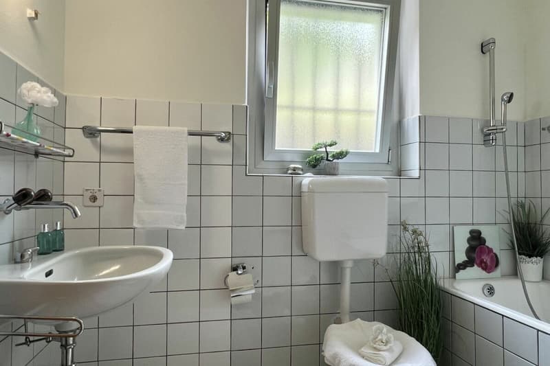4,5 Zi. Wohnung in Zweifamilienhaus mit 180° Seesicht, grosser Sonnenterrasse & eigenem Garten (19)