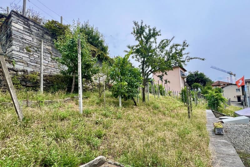 4,5 Zi. Wohnung in Zweifamilienhaus mit 180° Seesicht, grosser Sonnenterrasse & eigenem Garten (41)