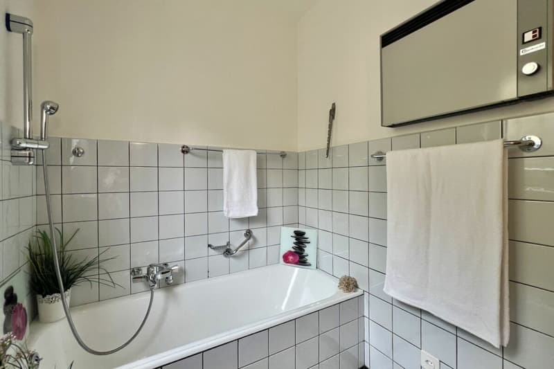 4,5 Zi. Wohnung in Zweifamilienhaus mit 180° Seesicht, grosser Sonnenterrasse & eigenem Garten (20)