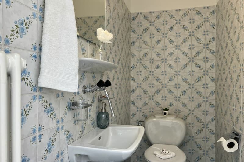 Elegante Attikawohnung mit grosser Sonnenterrasse und Gemeinschaftspool - Nähe See und Zentrum ASCONA (49)