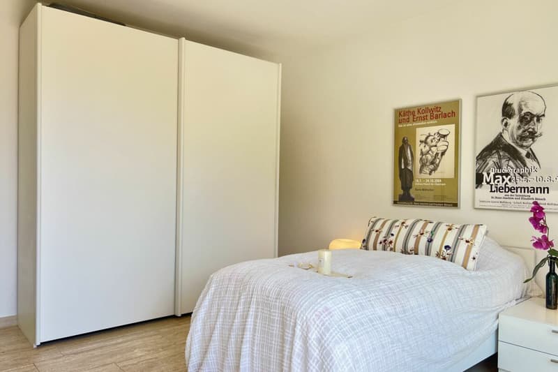 Elegante Attikawohnung mit grosser Sonnenterrasse und Gemeinschaftspool - Nähe See und Zentrum ASCONA (51)