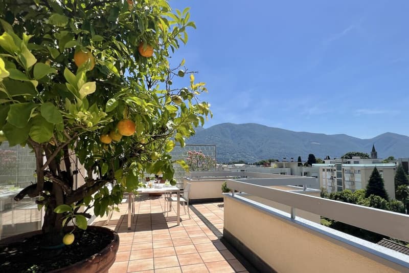Elegante Attikawohnung mit grosser Sonnenterrasse und Gemeinschaftspool - Nähe See und Zentrum ASCONA (23)