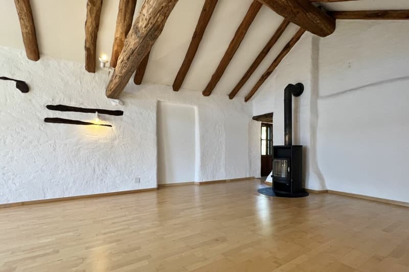 Charmantes Dorfhaus in schöner Ruhelage Casa Blu - «Das unvollendete Bijou» (25)