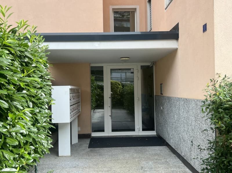 PREISANPASSUNG !!! Grosszügige 4,5 Zimmerwohnung mit Balkon in toller Ruhelage von Minusio (19)