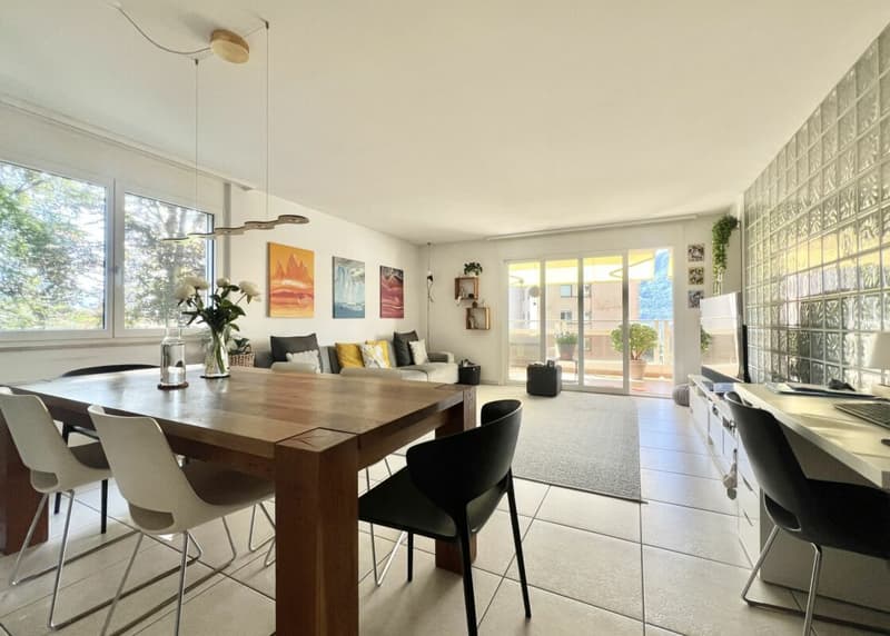 PREISANPASSUNG !!! Grosszügige 4,5 Zimmerwohnung mit Balkon in toller Ruhelage von Minusio (8)