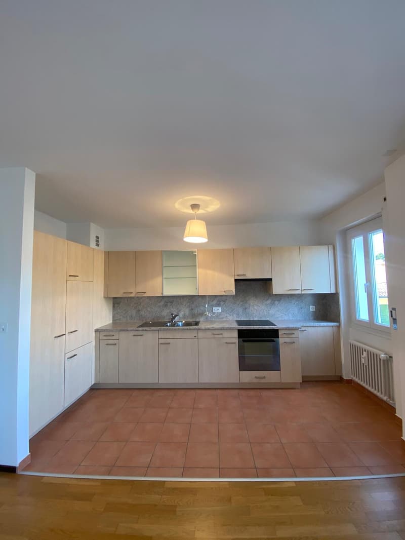 modern kitchen with built-in cabinets, central island, under cabinet lighting, modern appliances