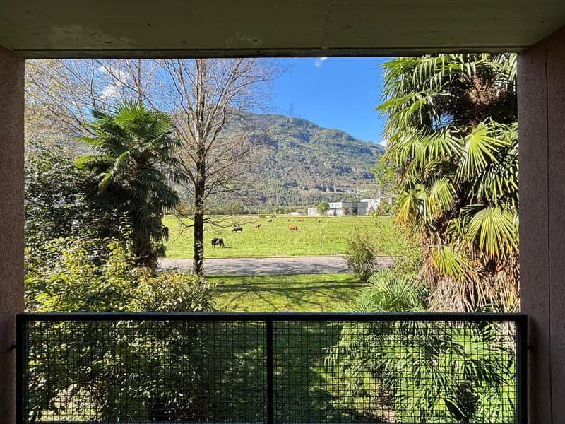 balcony with metal fence, view of a grass field with trees and mountains in the background, some cattle are grazing