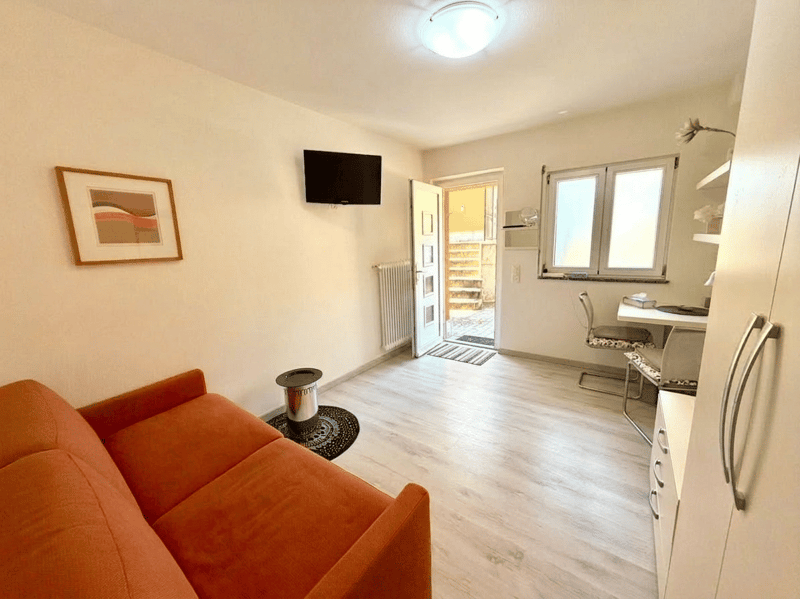 small living room with orange couch, tv, radiator, desk, chair, windows, picture frame, light