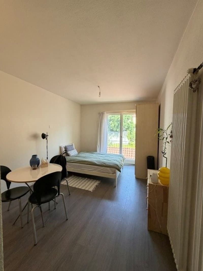 Affascinante monolocale con balcone nel cuore di Locarno (6)