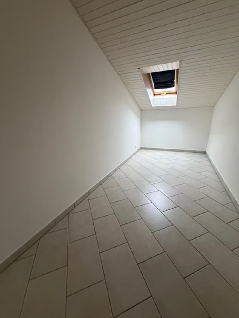 Luminoso duplex (5)