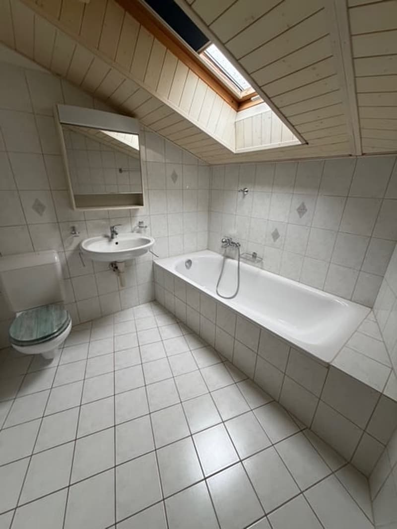 Luminoso duplex (6)
