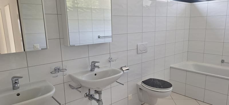 Tiled bathroom with a sink, toilet, and mirror cabinet
