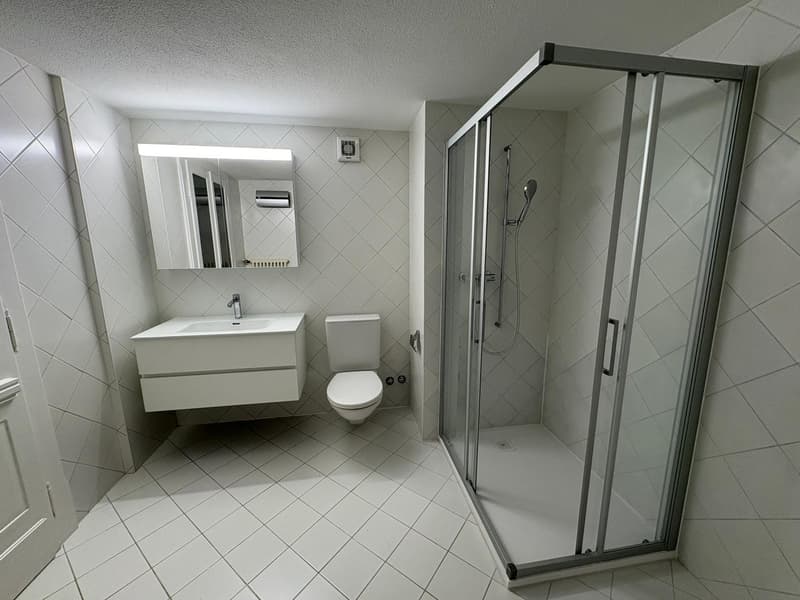 fully tiled, white toilet, white sink, shower cubicle, mirror with lights
