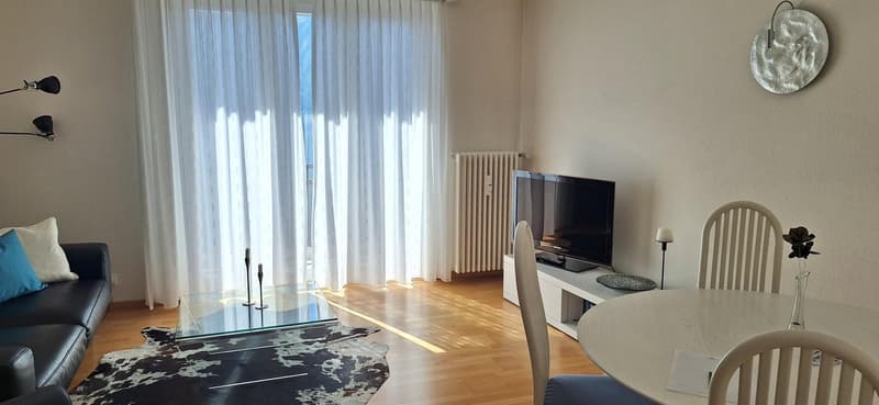 Orselina - app. 3.5 locali ristrutturato con vista / renovierte 3,5-Zi.-Whg. mit Aussicht (2)