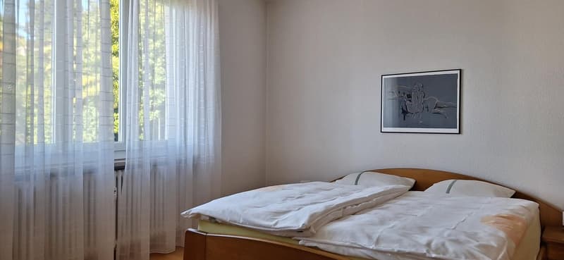 Orselina - app. 3.5 locali ristrutturato con vista / renovierte 3,5-Zi.-Whg. mit Aussicht (9)