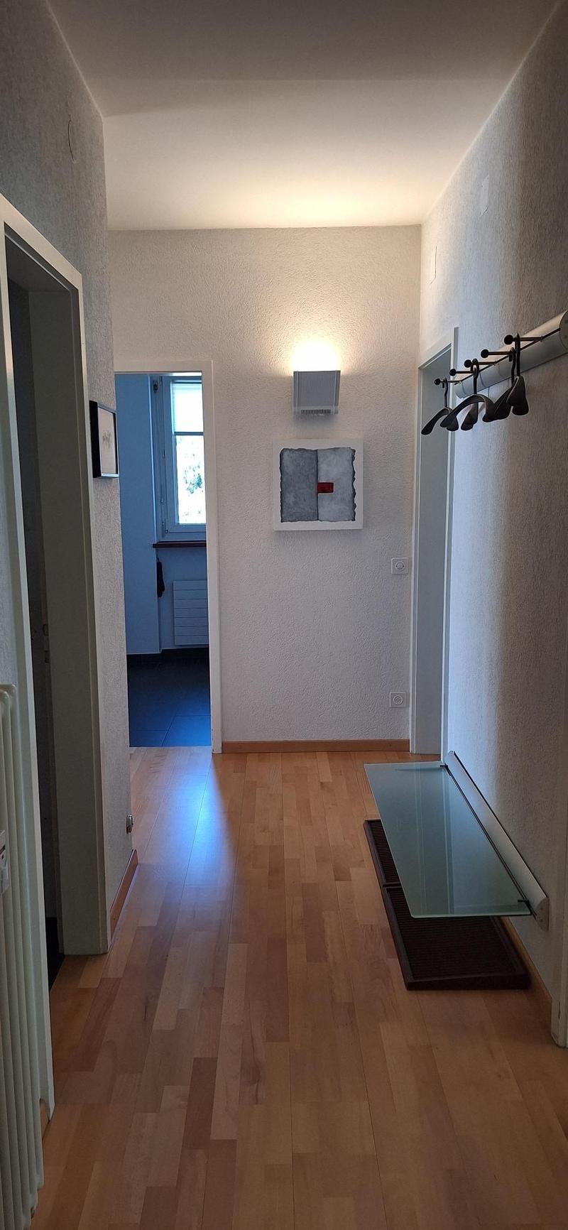 Orselina - app. 3.5 locali ristrutturato con vista / renovierte 3,5-Zi.-Whg. mit Aussicht (10)