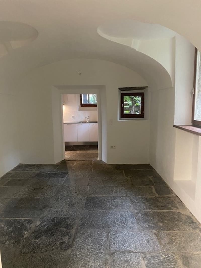 Affascinante appartamento in casa rustica (8)