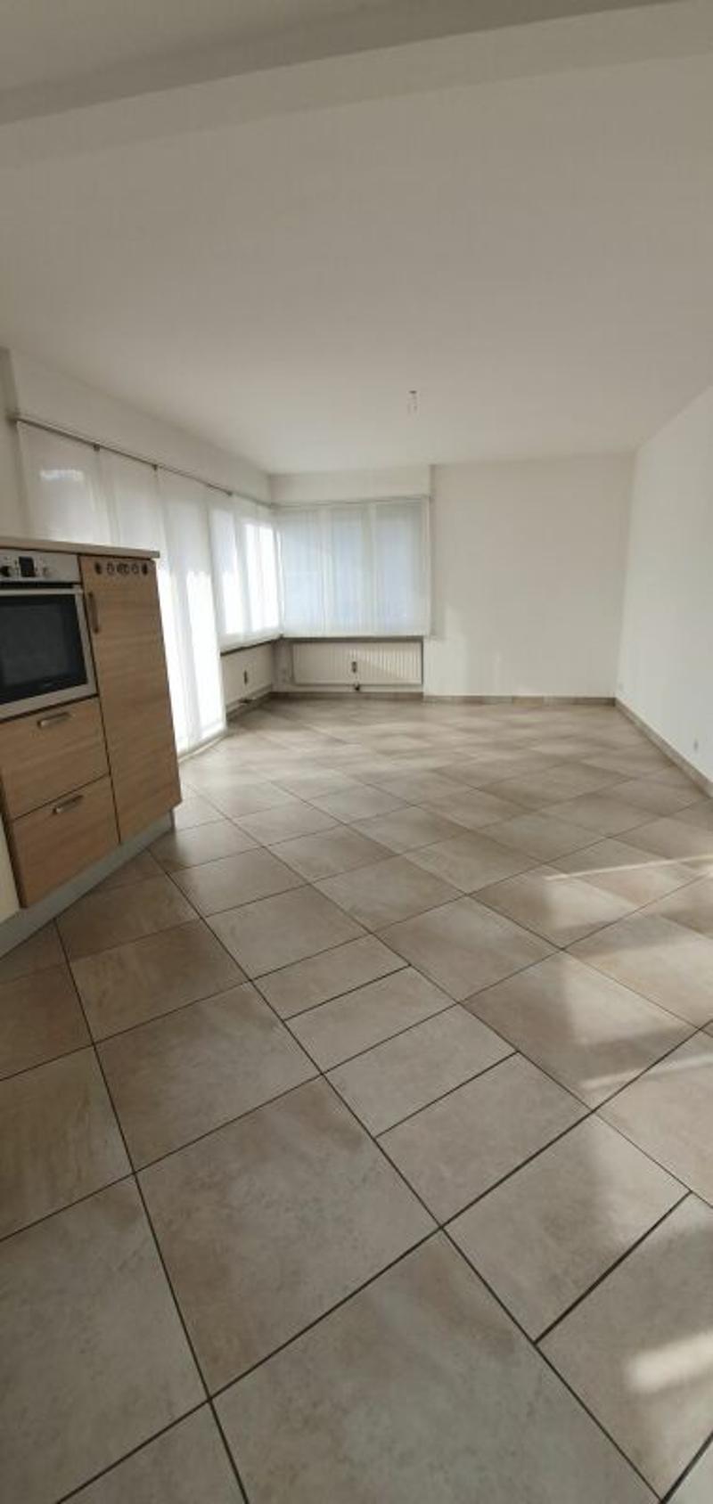 Appartamento luminoso e ben strutturato (6)
