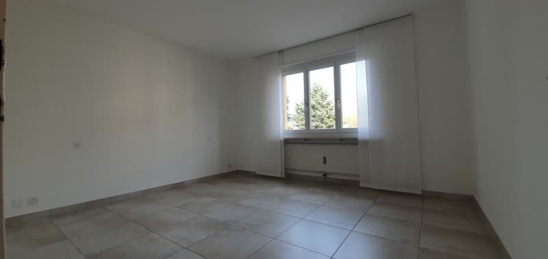 Appartamento luminoso e ben strutturato (11)