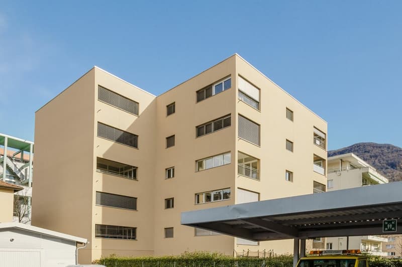 Luminoso appartamento in posizione strategica a Lugano (2)
