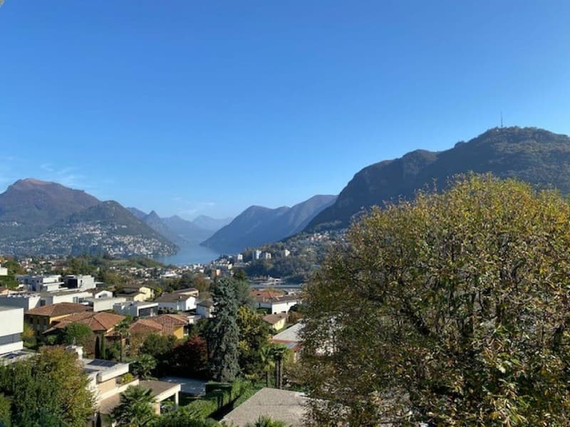 Stupendo e ampio attico con vista sul Lago di Lugano (19)