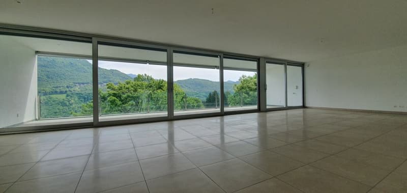 Stupendo e ampio attico con vista sul Lago di Lugano (3)