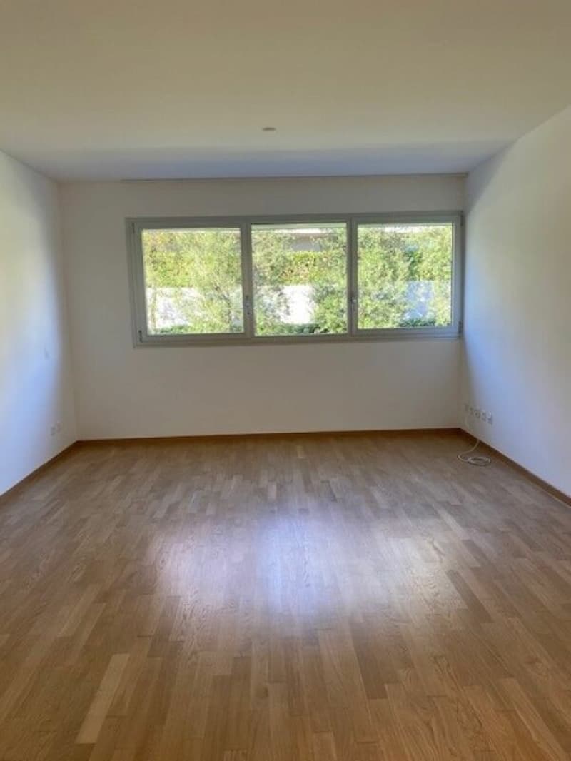 Stupendo e ampio attico con vista sul Lago di Lugano (15)