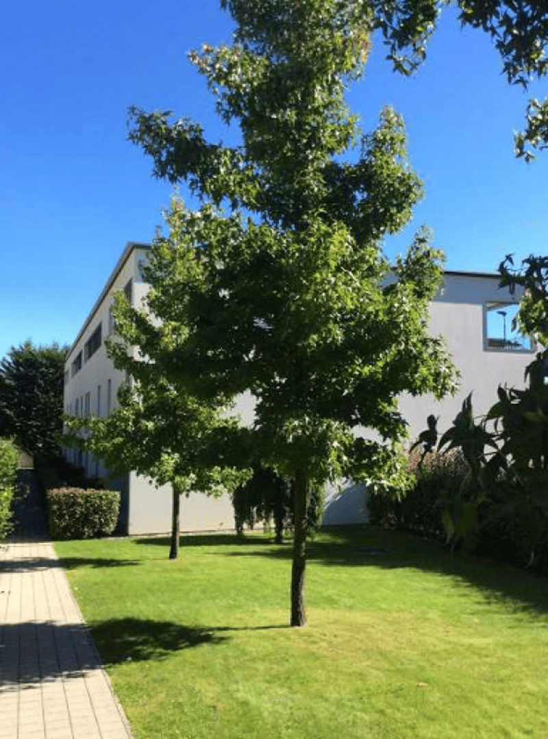 Favoloso e ampio duplex con vista sul Lago di Lugano (3)