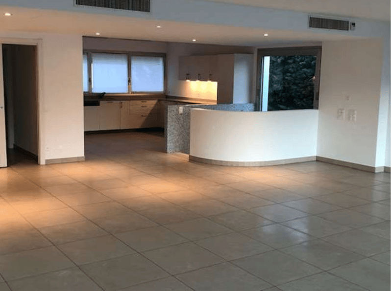Favoloso e ampio duplex con vista sul Lago di Lugano (6)