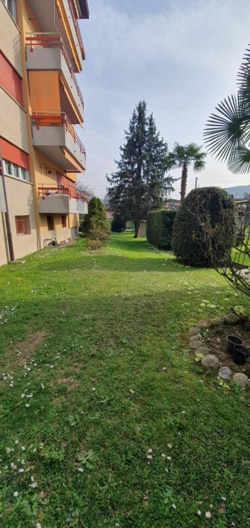 Appartamento luminoso e ben strutturato (12)