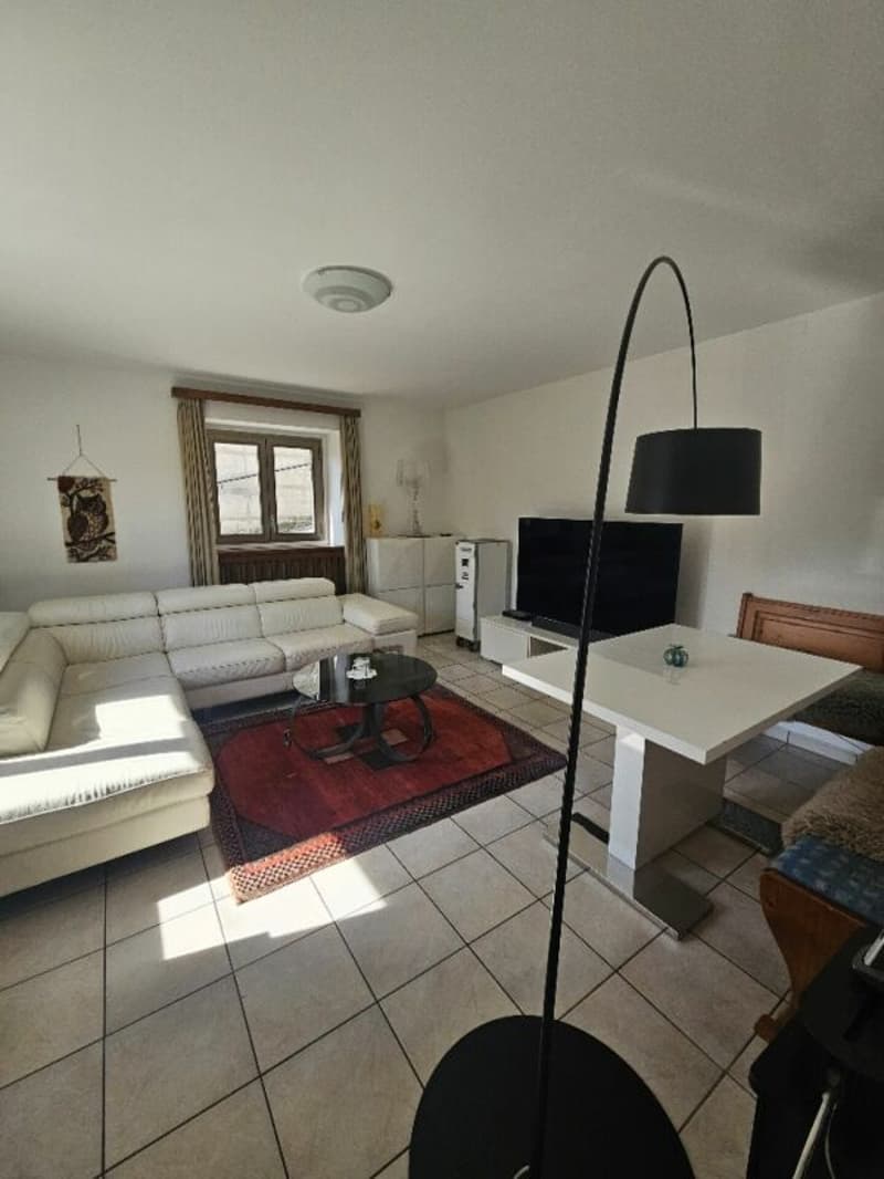 2.5 locali - al pianterreno con giardino condominiale (2)
