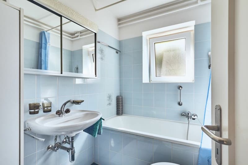 2.5 locali - al pianterreno con giardino condominiale (4)