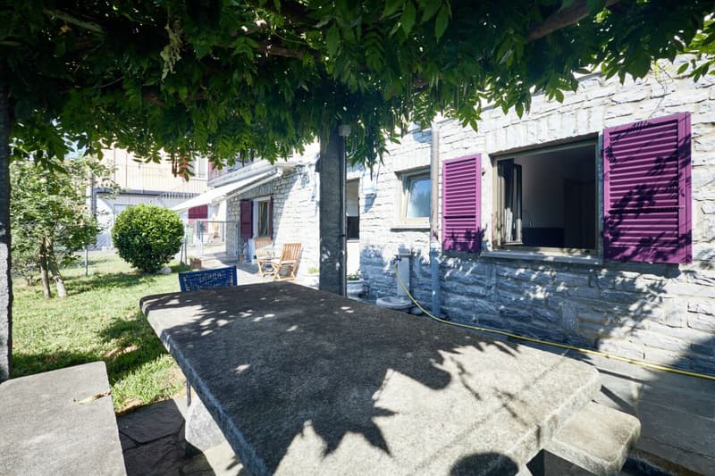 2.5 locali - al pianterreno con giardino condominiale (7)