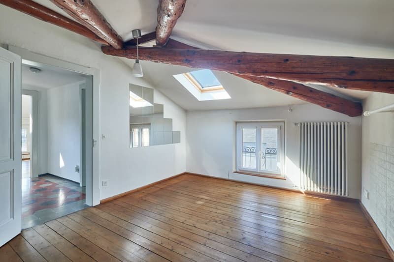 Villa stile Liberty con giardino e tre unità abitative - ideale anche come investimento (13)