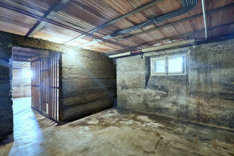 Villa stile Liberty con giardino e tre unità abitative - ideale anche come investimento (15)
