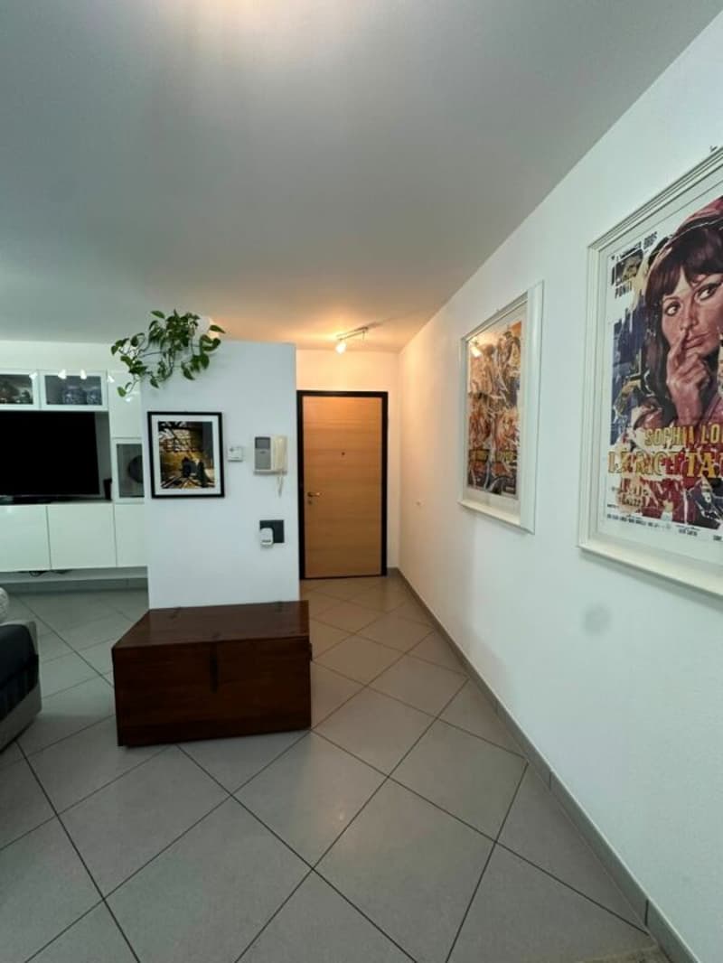 Posizione privilegiata con terrazza e ampio giardino (3)