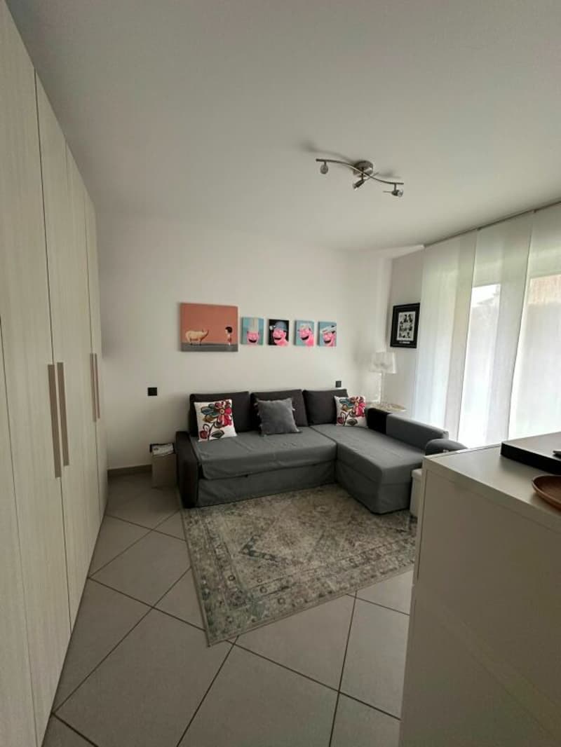 Posizione privilegiata con terrazza e ampio giardino (9)