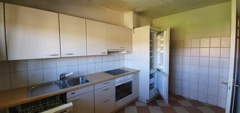 Stabio: appartamento nel verde e nella tranquillità (5)