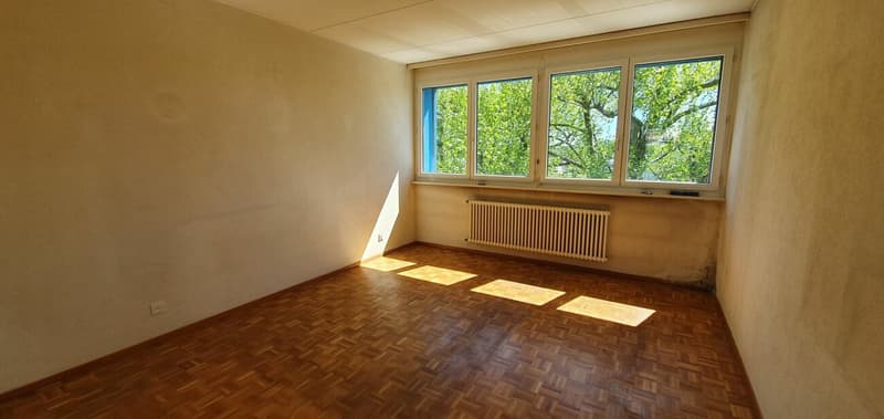 Stabio: appartamento nel verde e nella tranquillità (9)