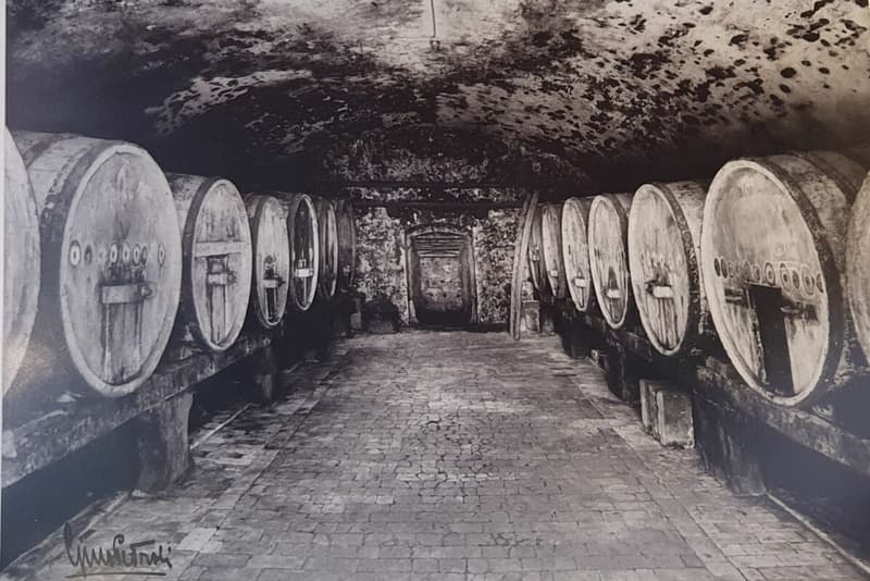 Grotto Bundi alle cantine di Mendrisio - acquistabile con rent to buy! (8)