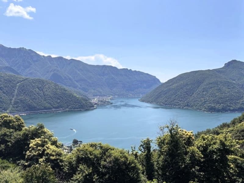 Ultimi appartamenti di design con meravigliosa vista panoramica: Residenza Vista-Carona (3)