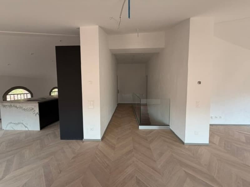 Attico di Lusso in meraviglioso edificio storico (4)