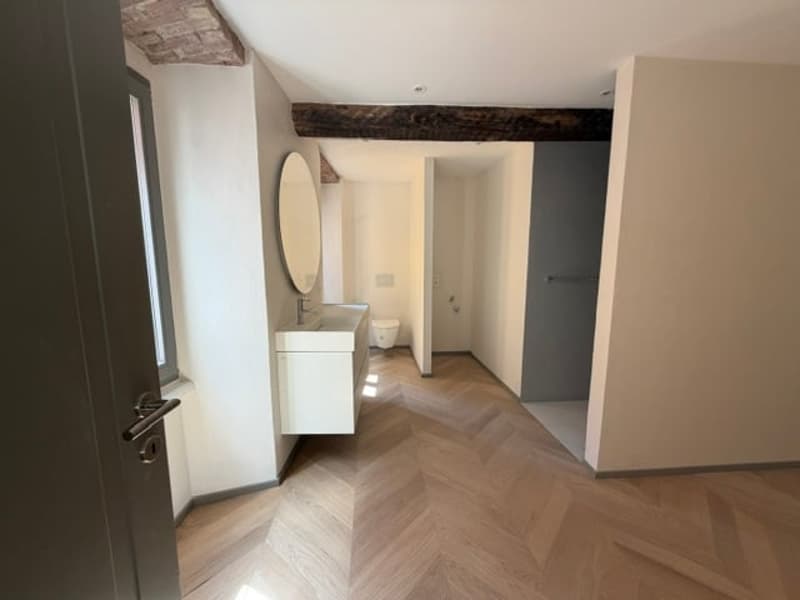 Appartamenti di charme in meraviglioso edificio storico (8)