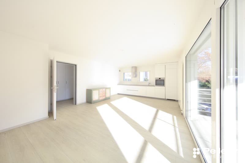Empty room with white walls, wooden floor, sliding glass door, kitchen with cabinets and a sink, open wardrobe, balcony with view