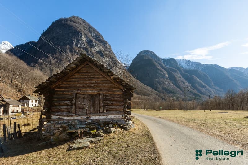 wooden cottage on the mountainside, old wooden door, gravel driveway