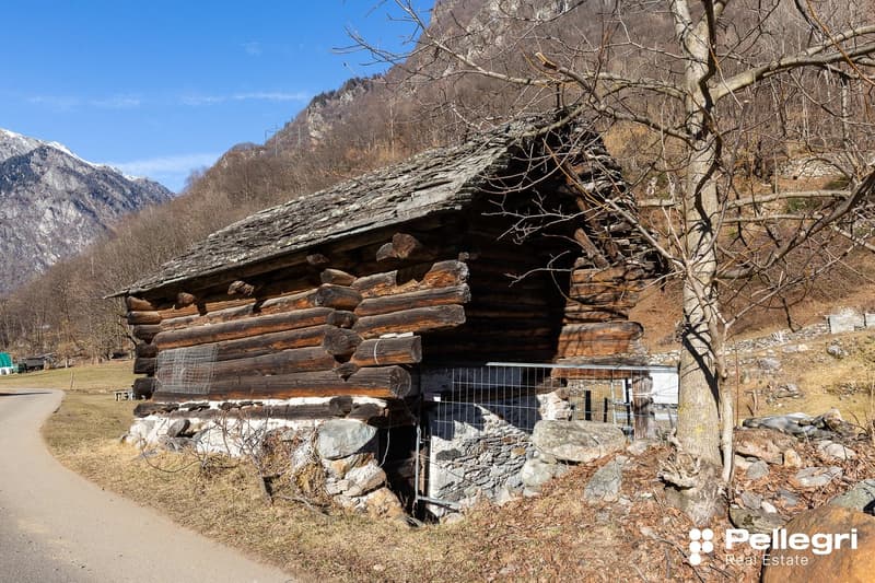 Wooden log house in mountains, stone foundation, metal gate, trees, road, mountain view