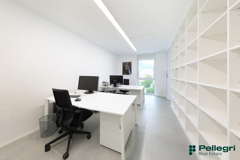 Bellissimo ufficio (4)