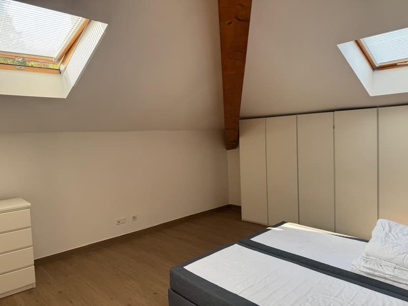 Elegante Duplex di 4.5 Locali con Vista Panoramica a Barbengo (6)