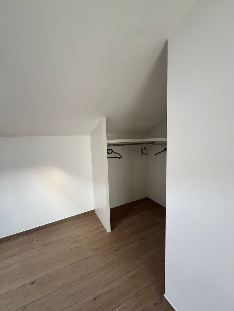 Elegante Duplex di 4.5 Locali con Vista Panoramica a Barbengo (5)
