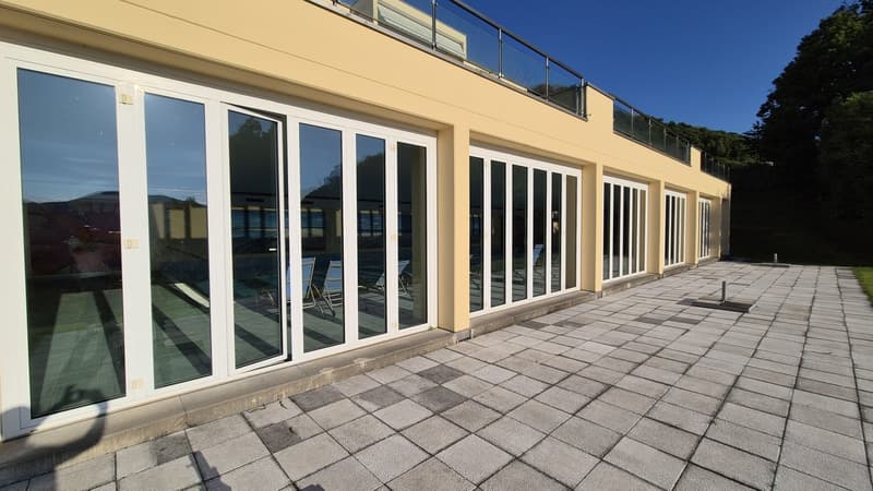 Favoloso Appartamento 5.5 locali, con Vista Lago e Piscina a Montagnola, Svizzera (16)